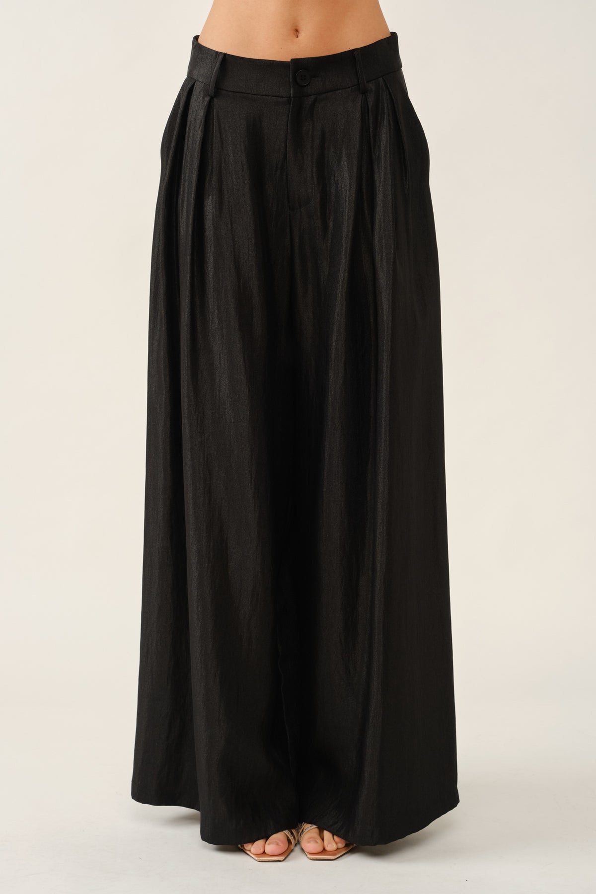 Wide Leg Pleated Pants