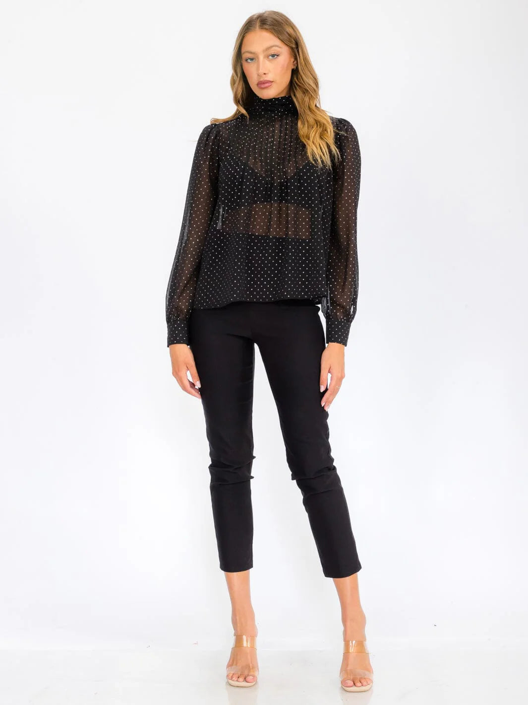Turtleneck Sheer Shimmer Top