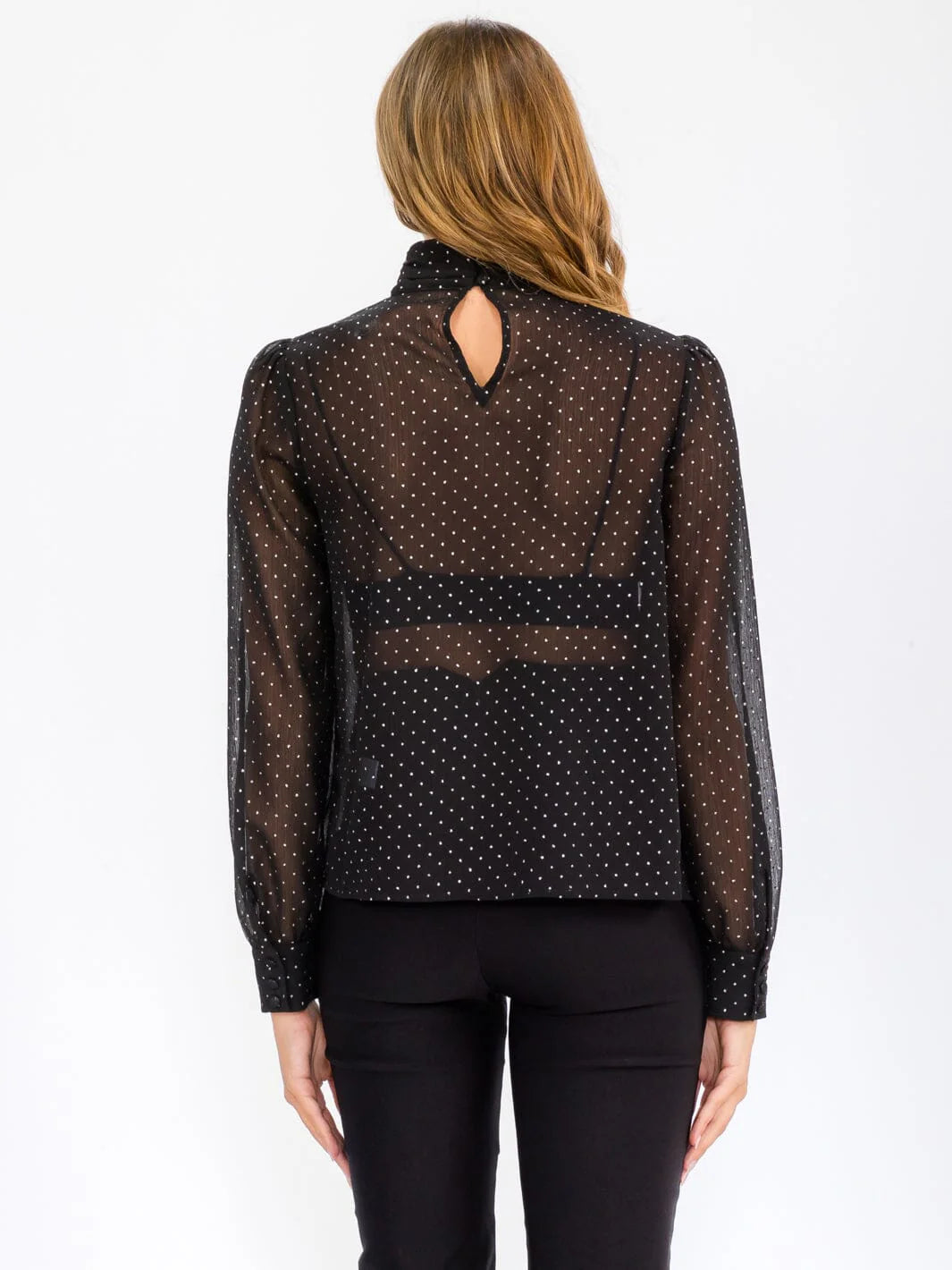 Turtleneck Sheer Shimmer Top