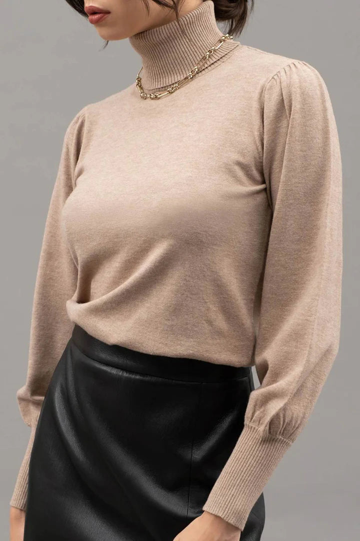Knitted Turtle Neck Top - Taupe