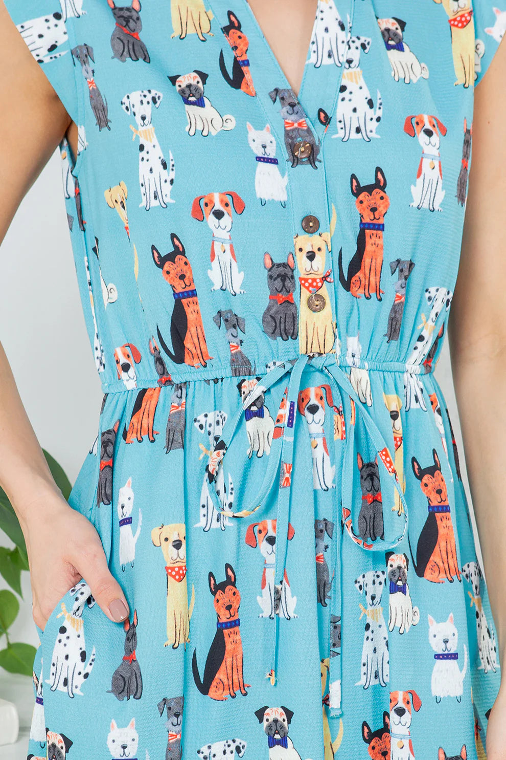 Blue Variety Dog Dress