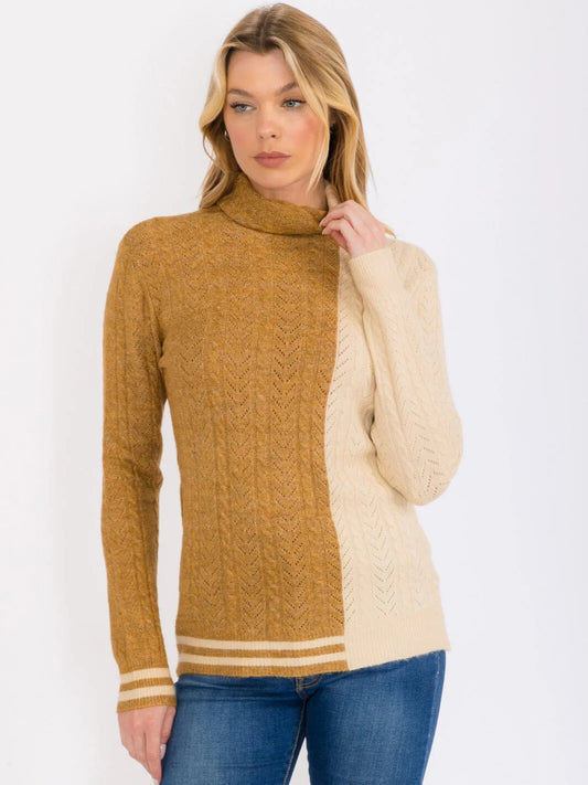 Colorblock Turtleneck Sweater