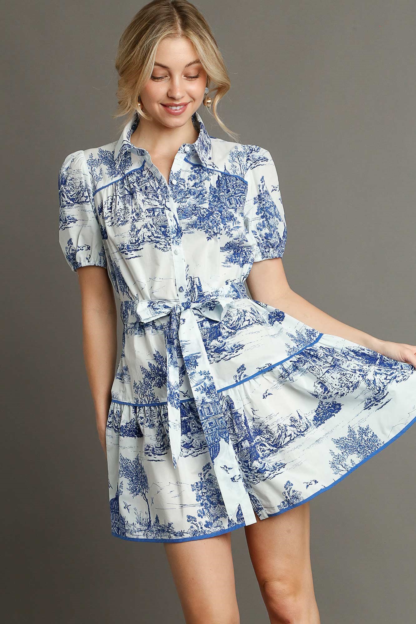 Button Down Landscape Print Dress