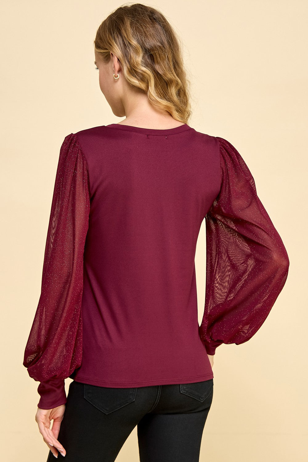 Sheer Glitter Sleeve Top