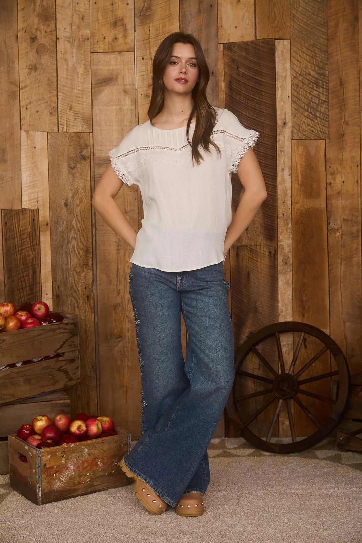 Lace Trim Pleated Yoke Top