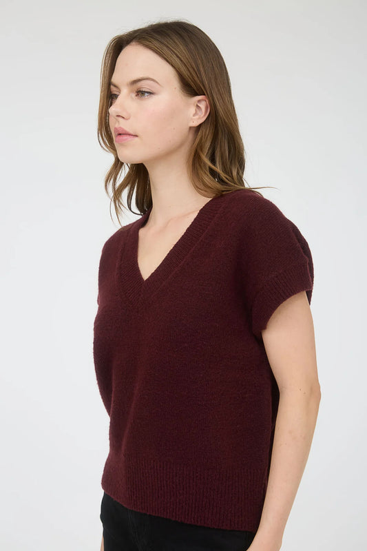 Solid V Neck Sweater - Red Wood