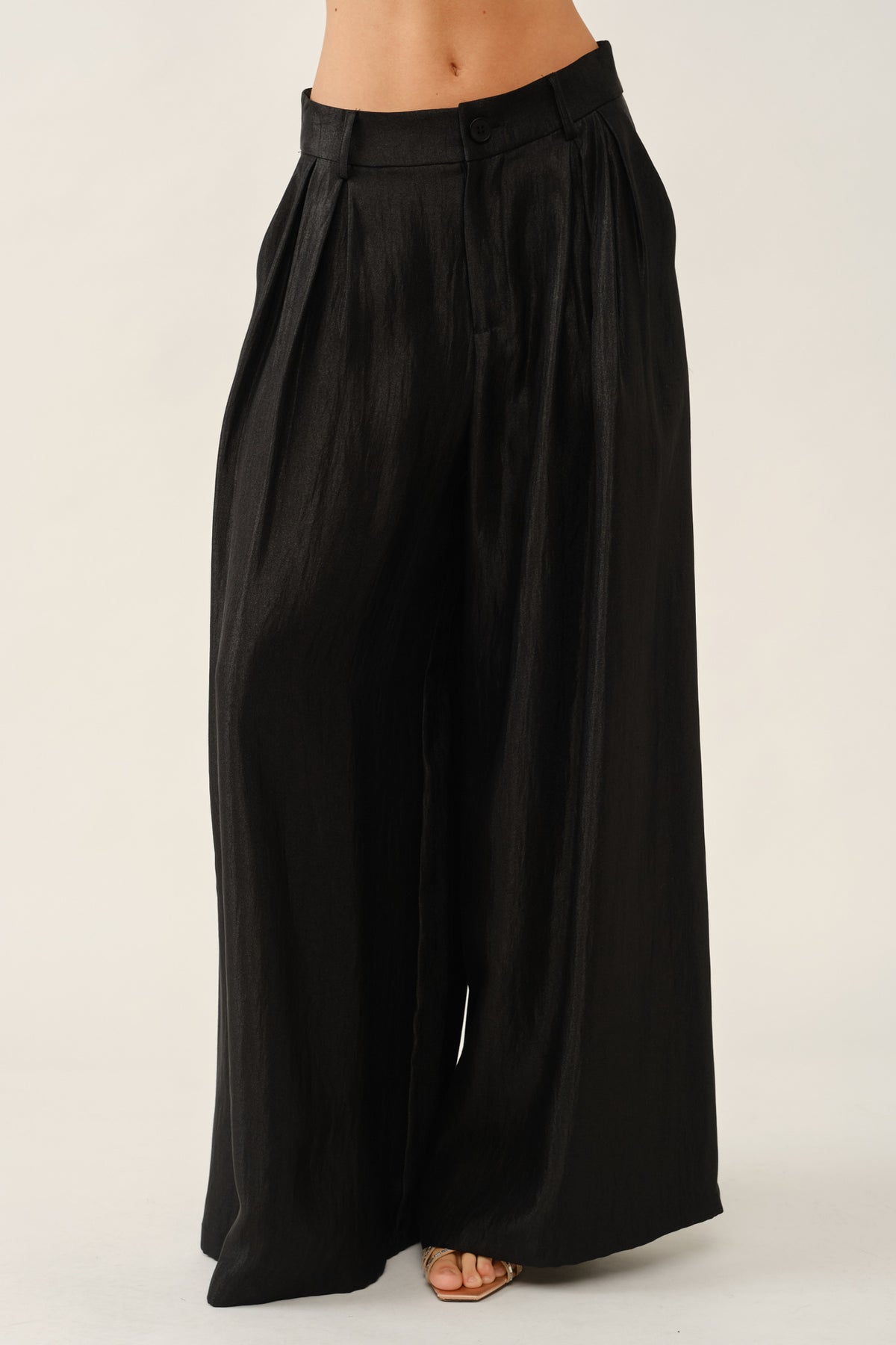 Wide Leg Pleated Pants