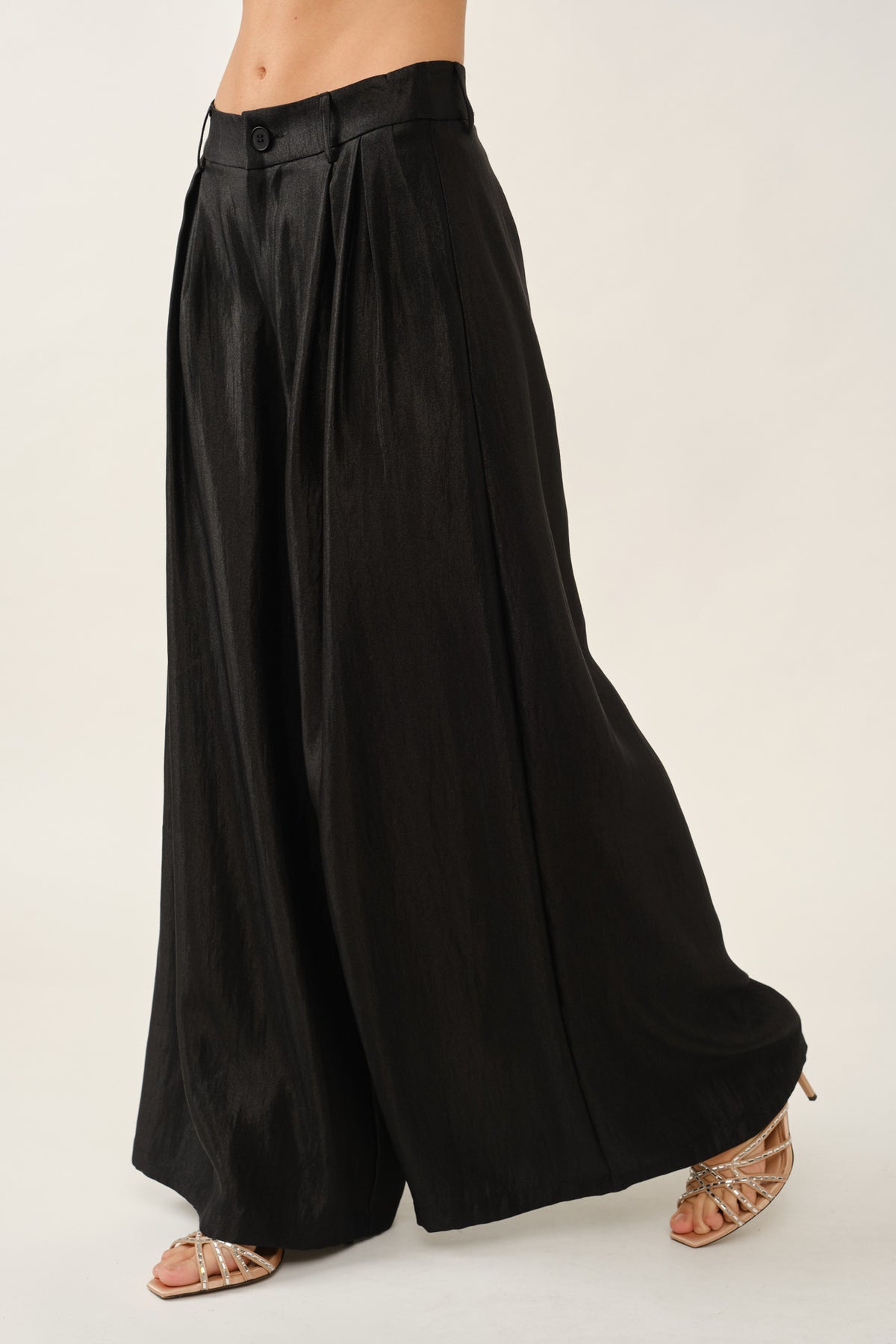 Wide Leg Pleated Pants