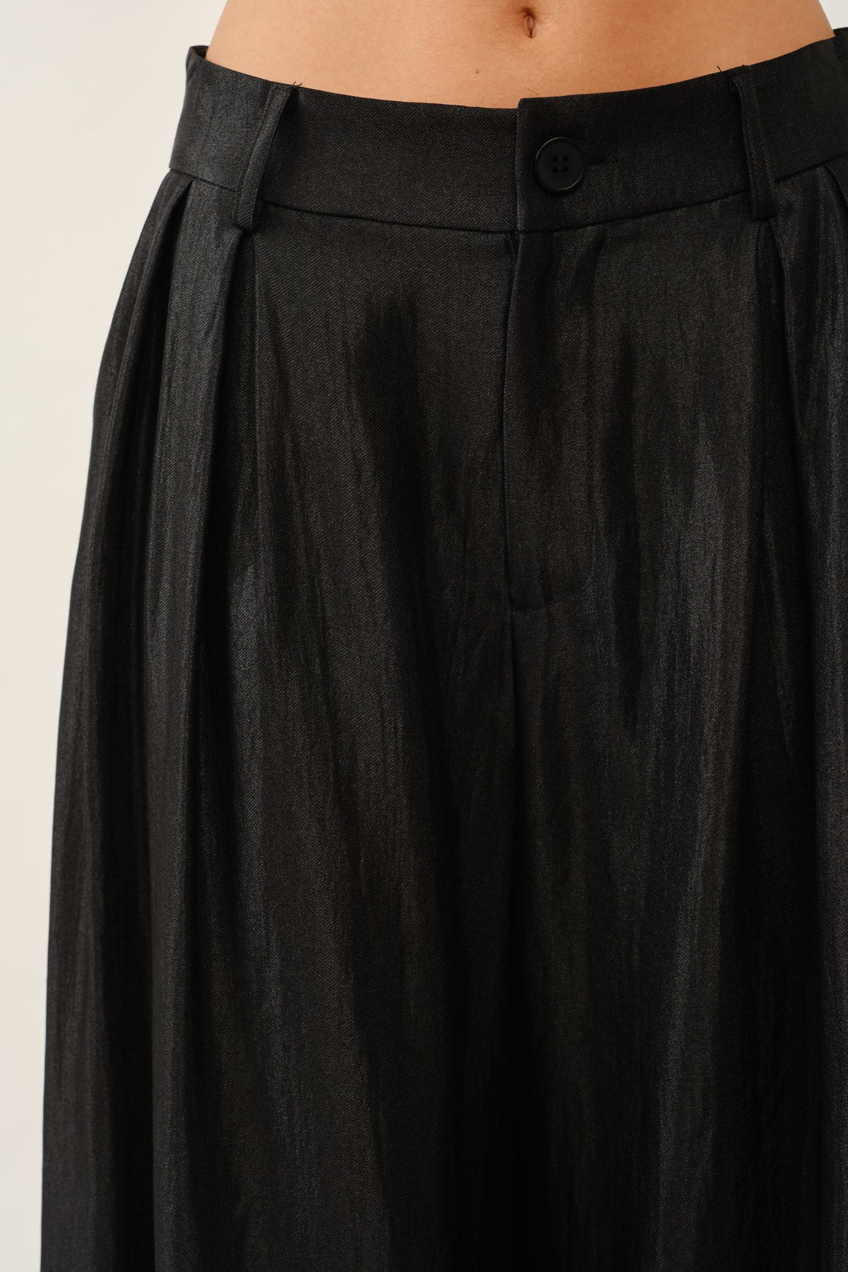 Wide Leg Pleated Pants