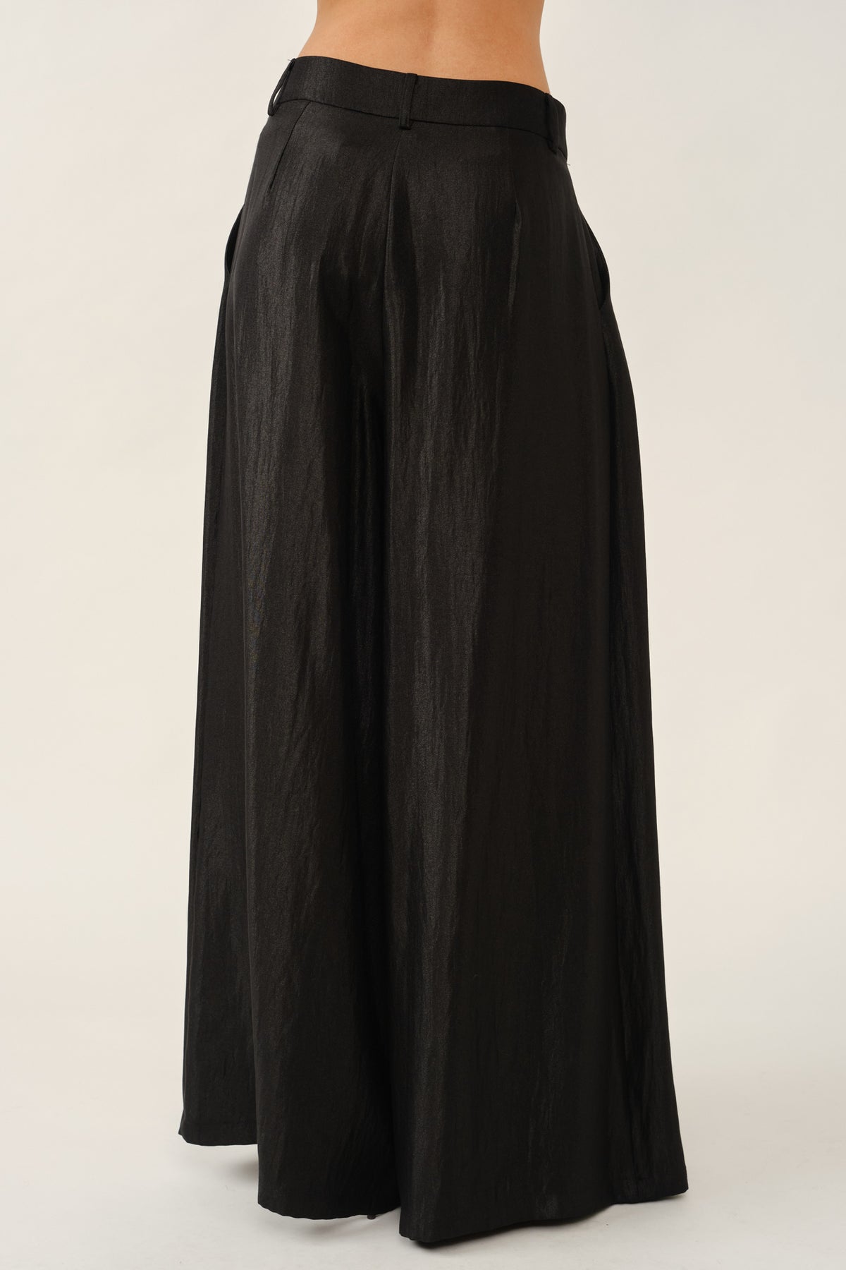 Wide Leg Pleated Pants