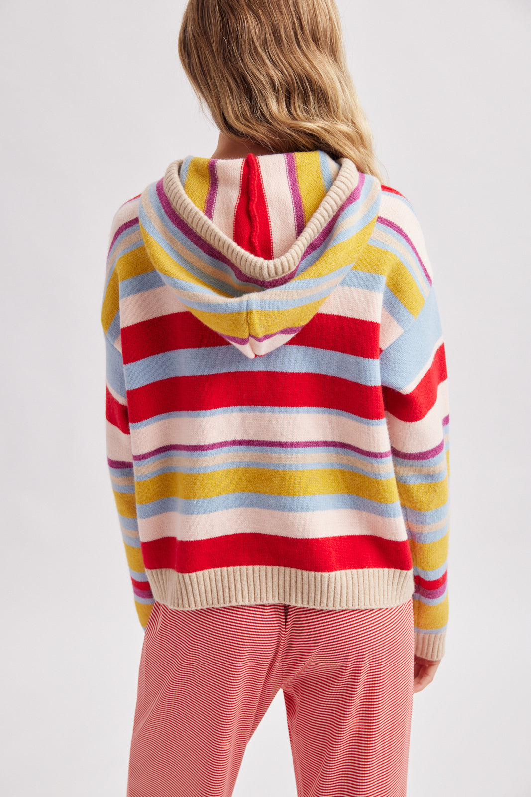 Multi Color Stripe Hoodie