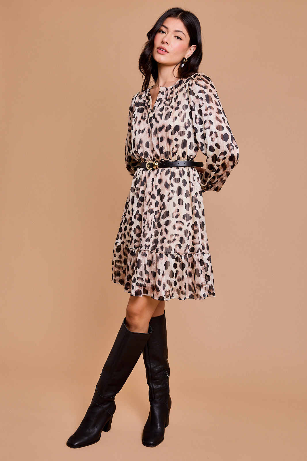 Animal Print V-Neck Dress