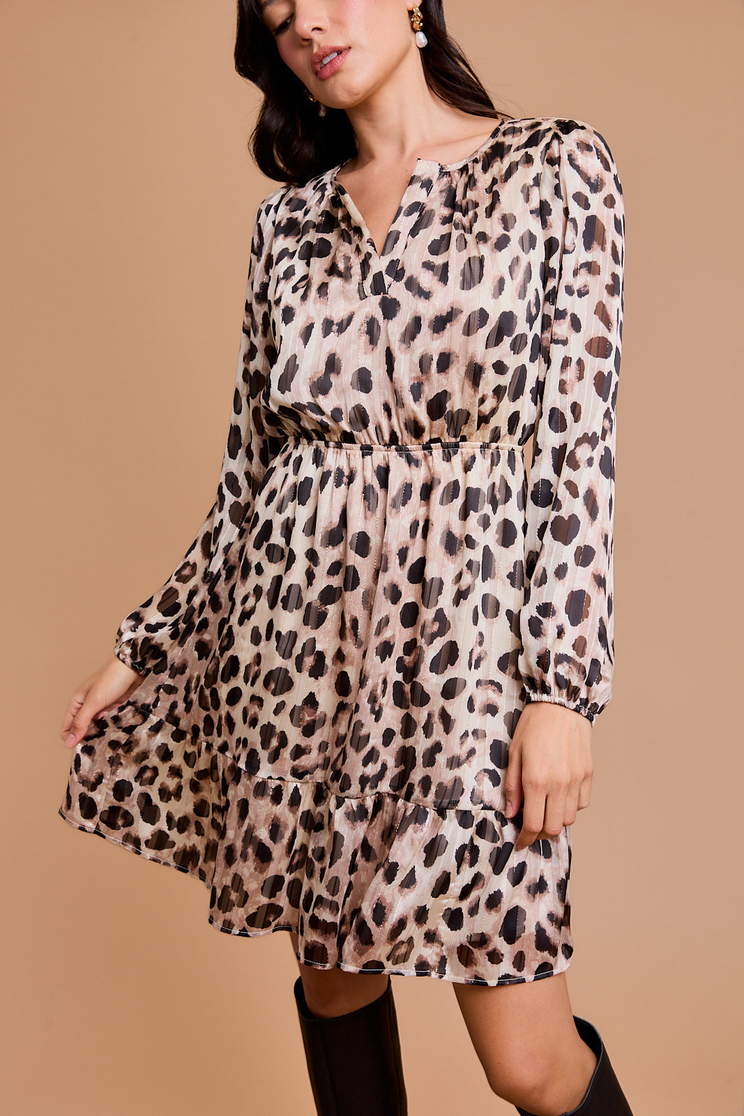 Animal Print V-Neck Dress