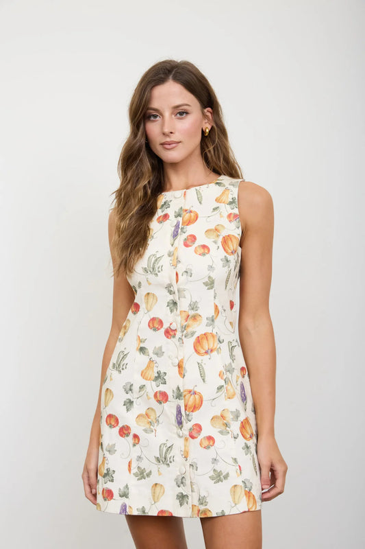 Pumpkin Harvest Dress