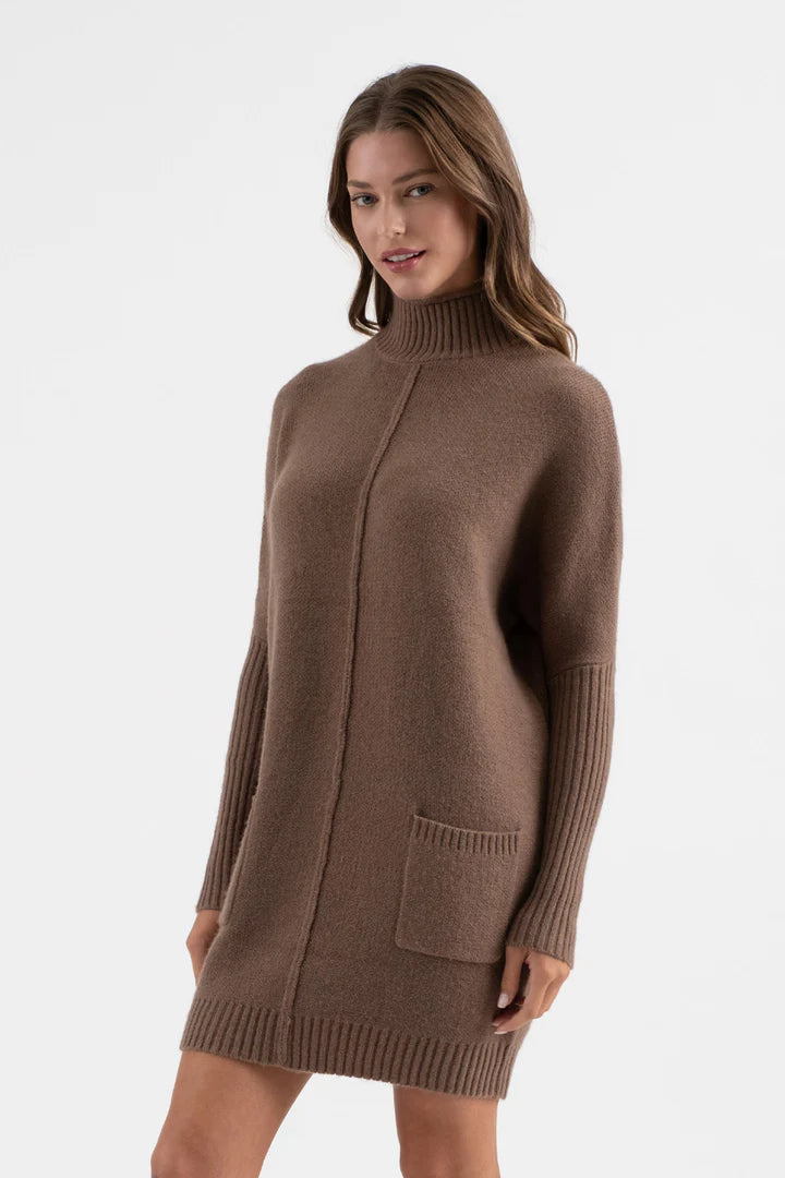 Mocha Sweater Dress