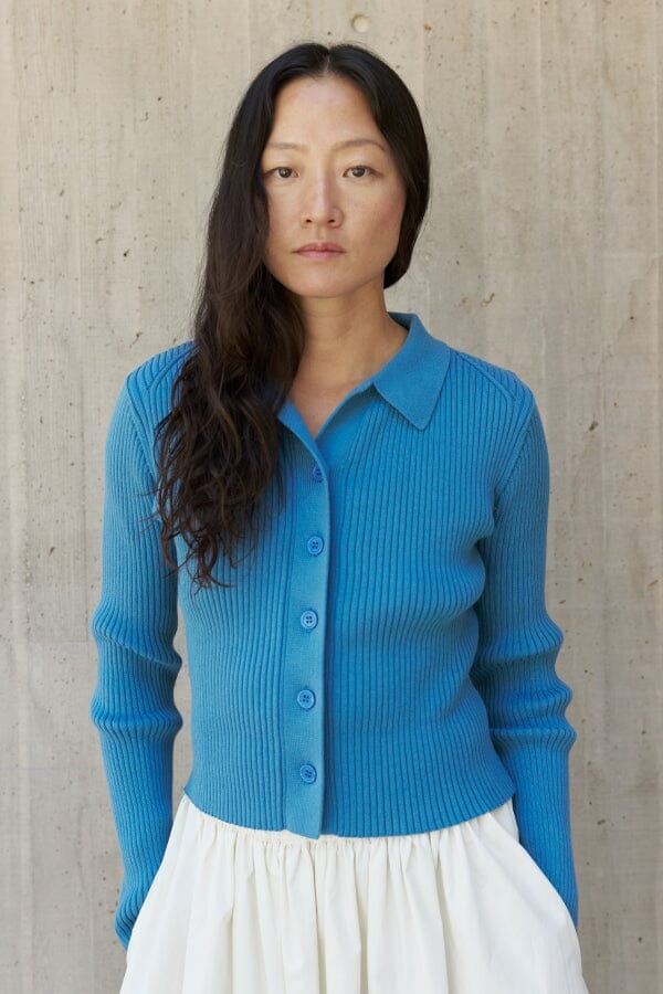Button Closure Rib Knit Sweater - Blue