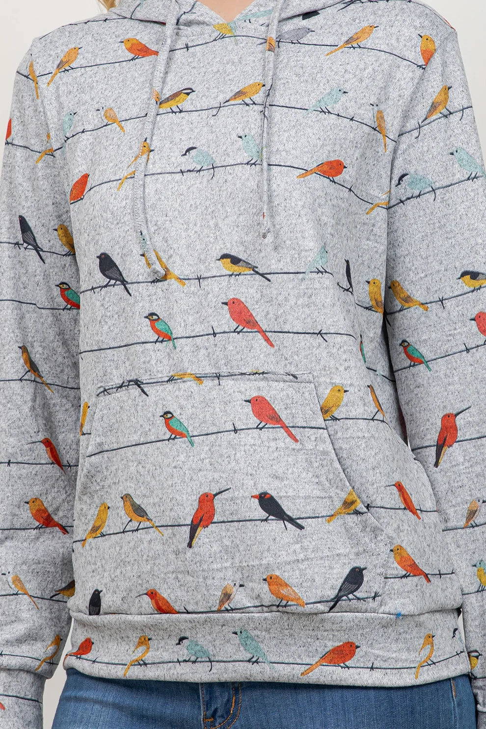 Birds on a Wire Hoodie