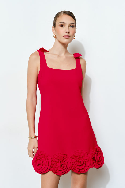 Rosette Trim Mini Dress