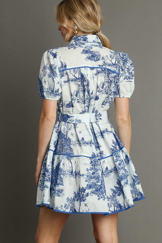 Button Down Landscape Print Dress