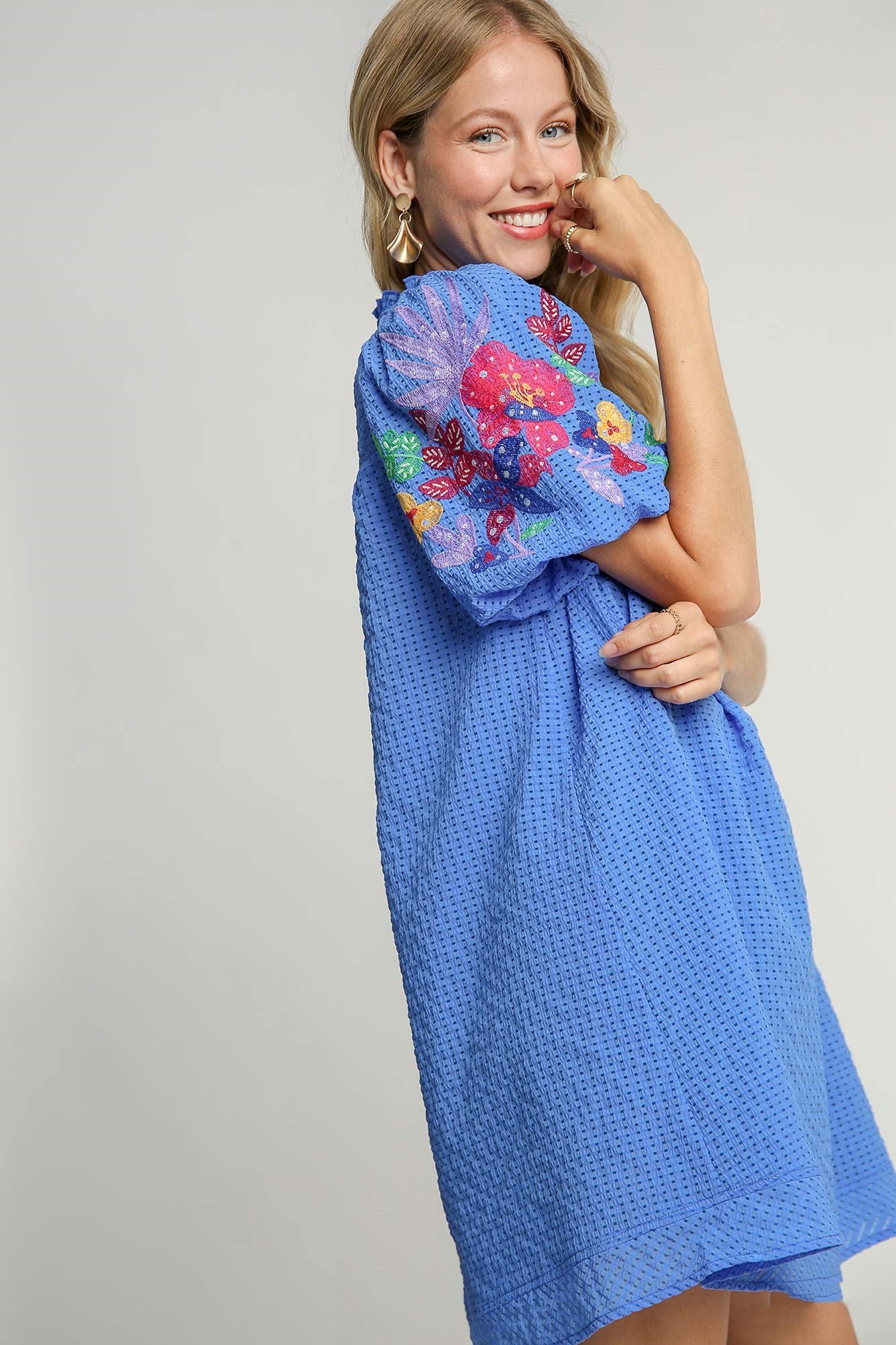 Embroidered Bubble Sleeve Dress