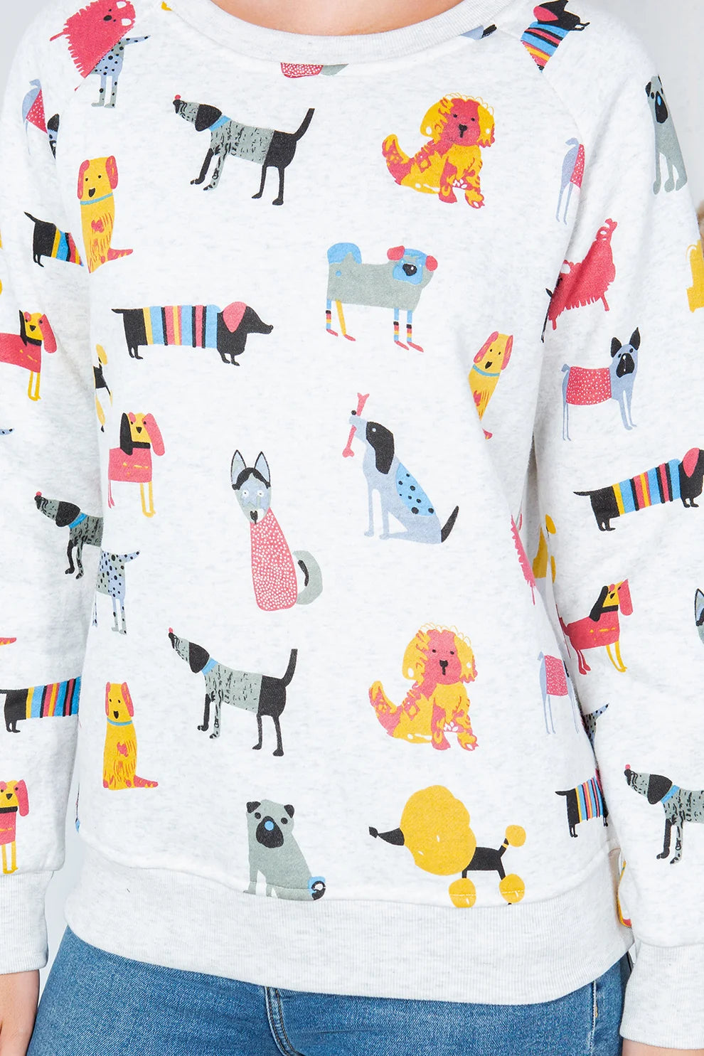 Colorful Dogs Sweatshirt