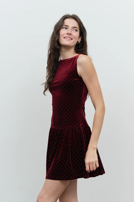 Velvet Studded Sleeveless Dress