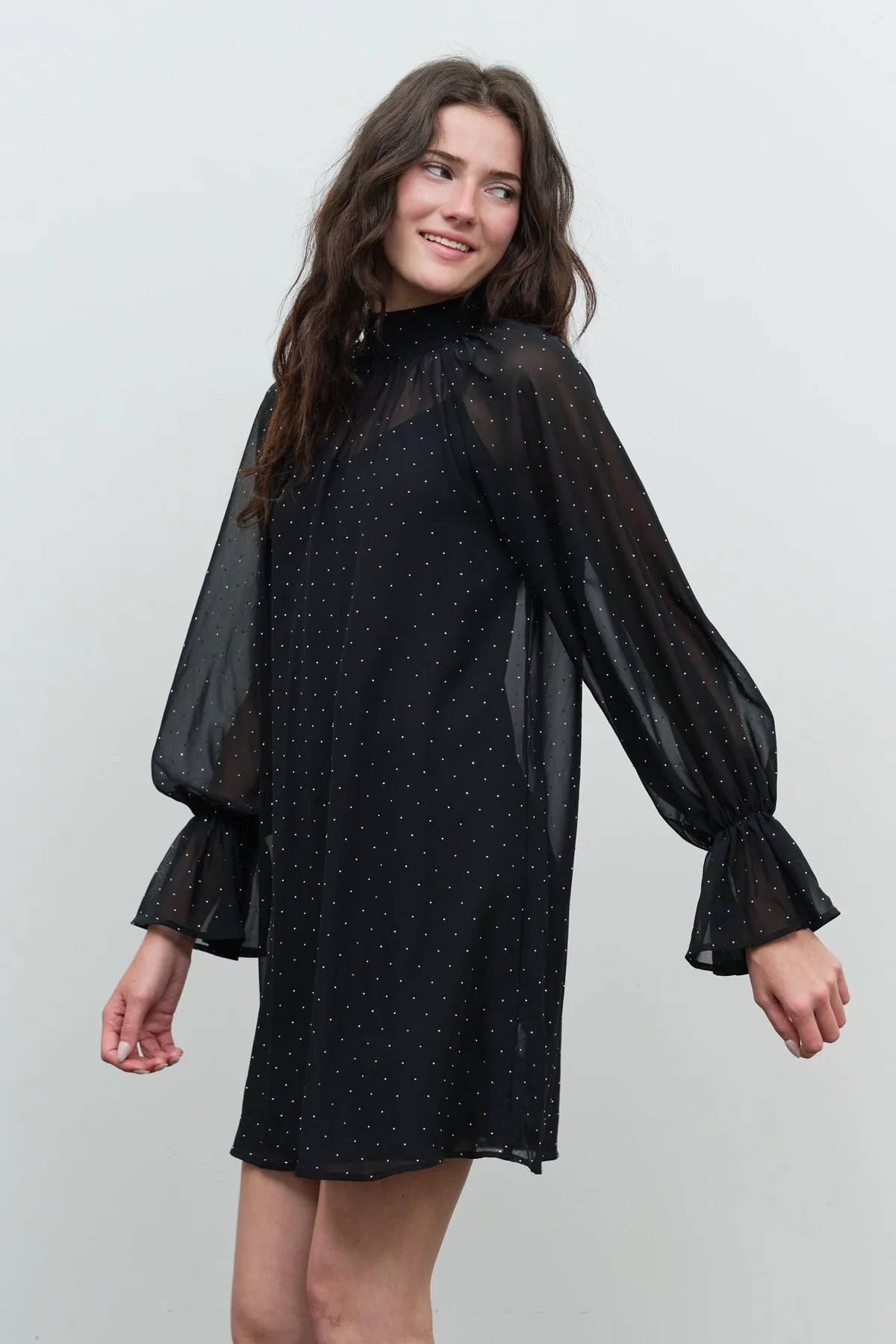 Sheer Polka Dot High Neck Dress