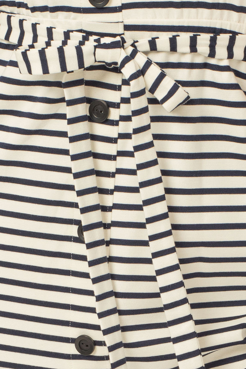 Navy Stripe Dress