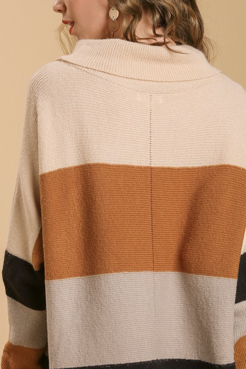 Colorblock Turtle Neck Pullover Sweater